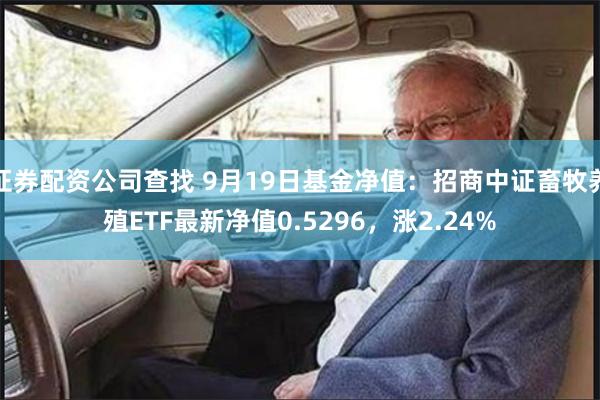 证券配资公司查找 9月19日基金净值：招商中证畜牧养殖ETF最新净值0.5296，涨2.24%